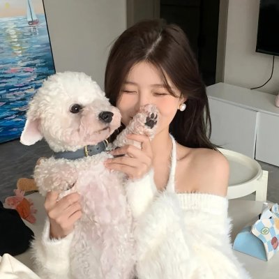 狂飙的蜗牛