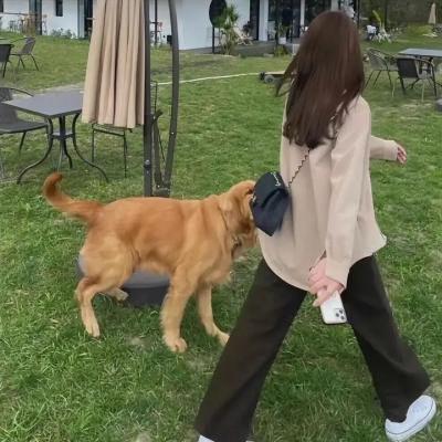 晴晚之林
